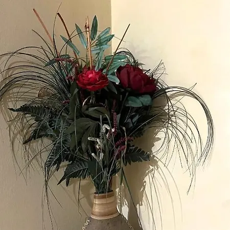 Casa Mario Pensionat